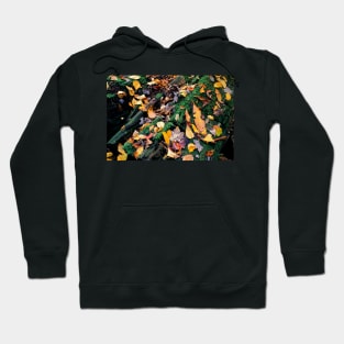 Autumn Renewal Hoodie